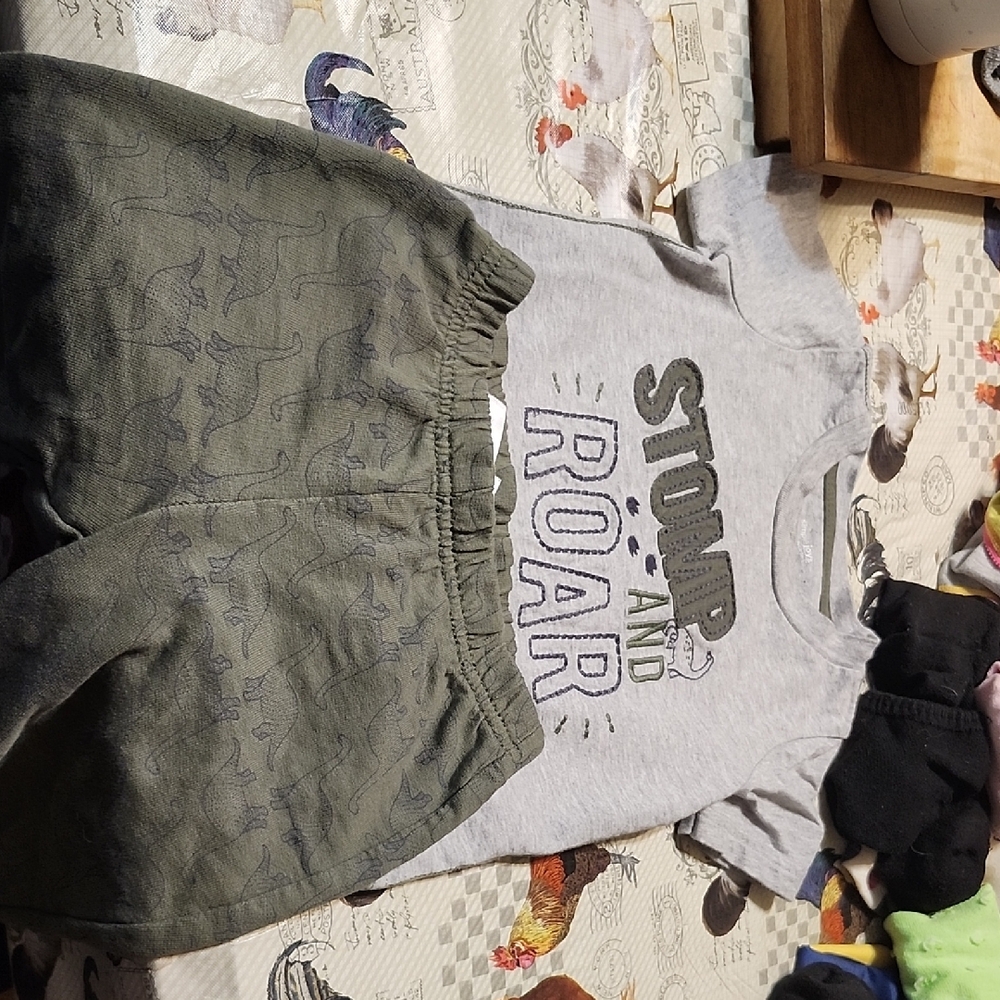 Gray Dinosaur T-Shirt and Green Shorts Set